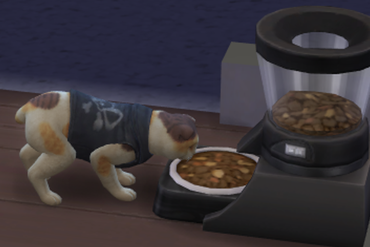 A Sims 4 screenshot, A calico, bobtail scottish fold cat with a black skull jean jacket on.